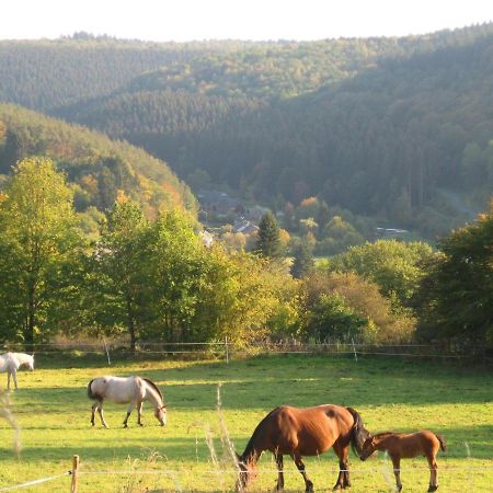 Pretty Cottage Ardennes Near The Valley Of Lesse Vencimont Extérieur photo