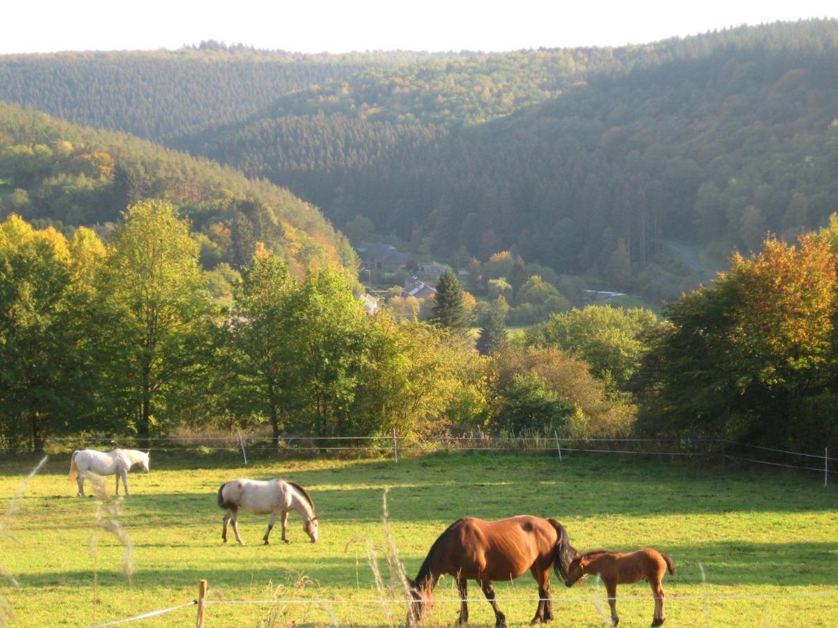 Pretty Cottage Ardennes Near The Valley Of Lesse Vencimont Extérieur photo